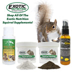 Exotic Nutrition Squirrel-Cal Calcium Supplement Powder - 3.5 oz - image 3