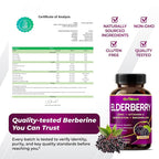 GriMed Elderberry Complex 1,470 mg with Quercetin & Zinc - 150 Capsules - image 8