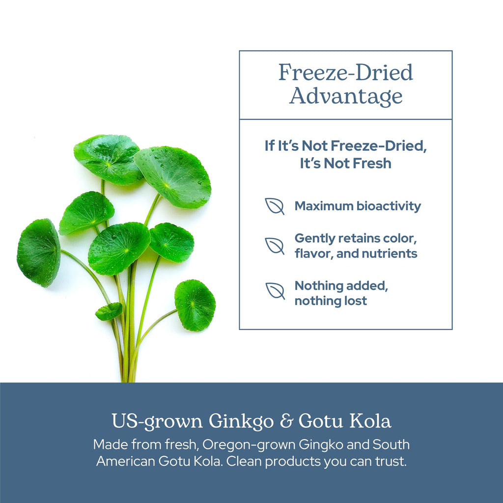 Eclectic Institute Ginkgo Gotu Kola Capsules Brain Support - 90 Capsules - image 5
