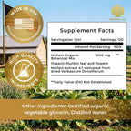 HEBS LAB. Mullein Extract Parent