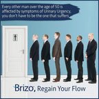 Brizo Prostate Health Herbal Capsules for Men - 56 Count - image 6
