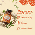 Four Sigmatic Four Sigmatic Capsules