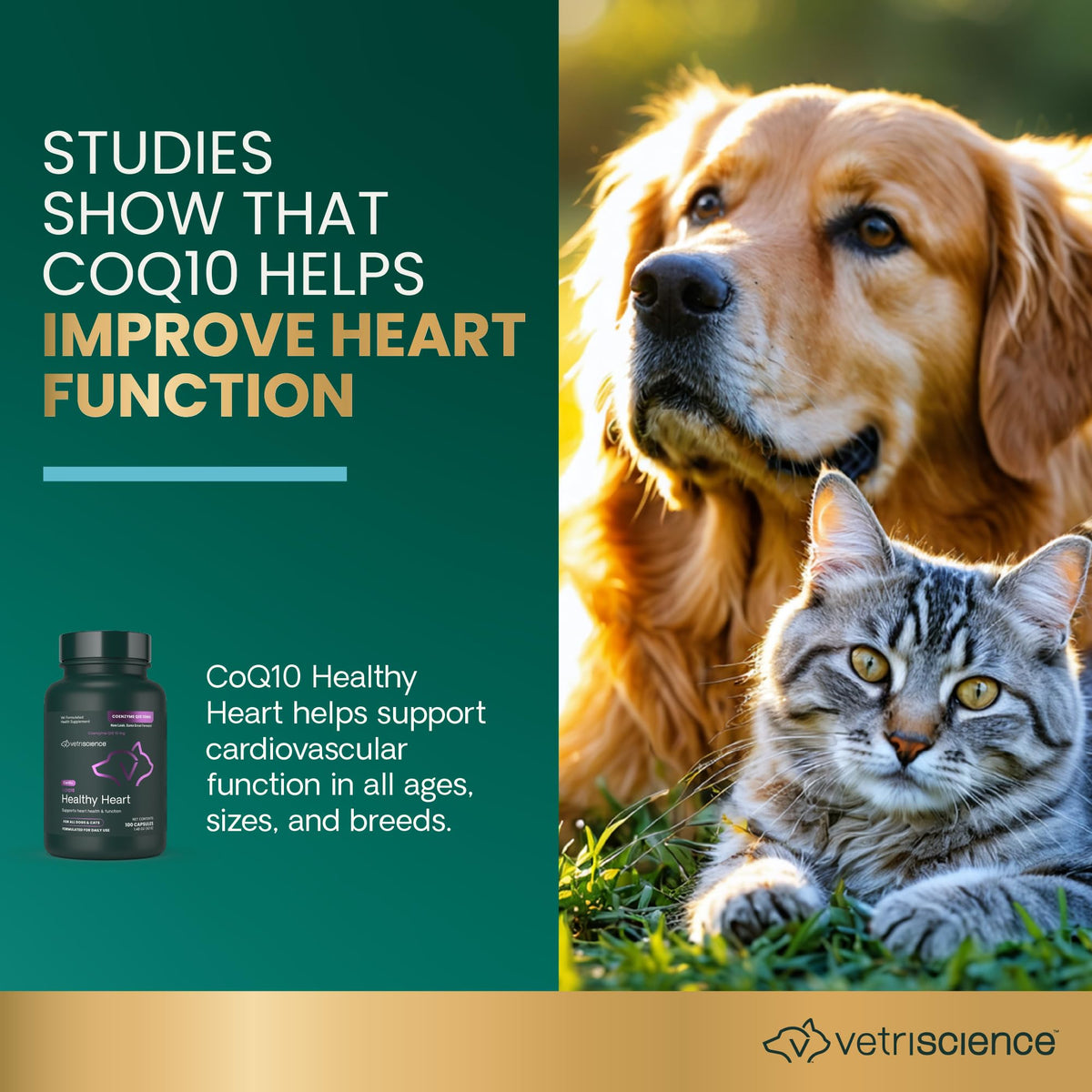 VetriScience CoQ10 Healthy Heart Capsules for Dogs and Cats - 100 Count - image 3