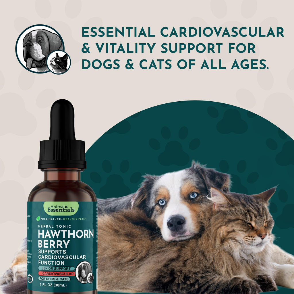Animal Essentials Hawthorn Berry Supplement for Dogs & Cats - 1 fl Oz - image 8