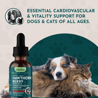 Animal Essentials Hawthorn Berry Supplement for Dogs & Cats - 1 fl Oz - image 8