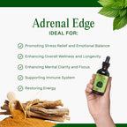 Go Nutrients Adrenal Edge Adrenal Support Liquid - 2 Fl Oz - image 4