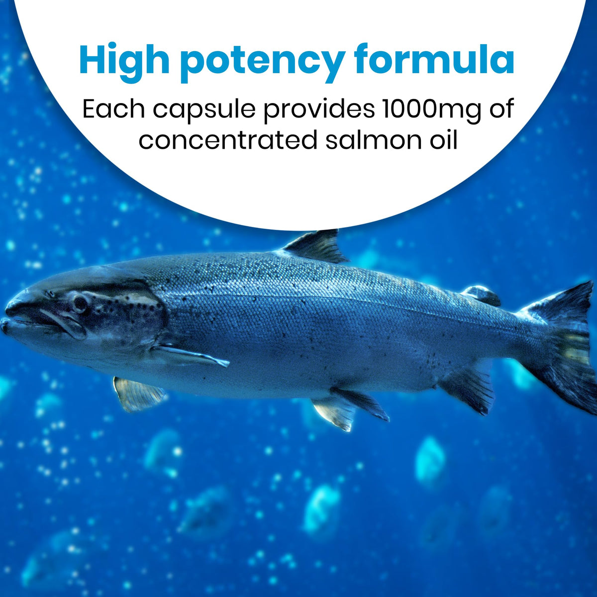 Healthy Care Wild Salmon Oil 1000mg - 500 Capsules - image 4