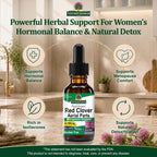 Nature's Answer Red Clover Extract Alcohol-Free Liquid - 1 Fl Oz - image 3