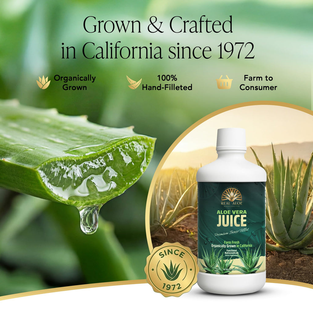 Real Aloe Organic Aloe Vera Juice - 32 fl oz - image 3