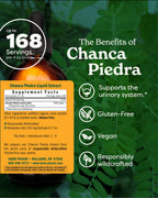 Herb Pharm Chanca Piedra Liquid Extract for Urinary System Support
