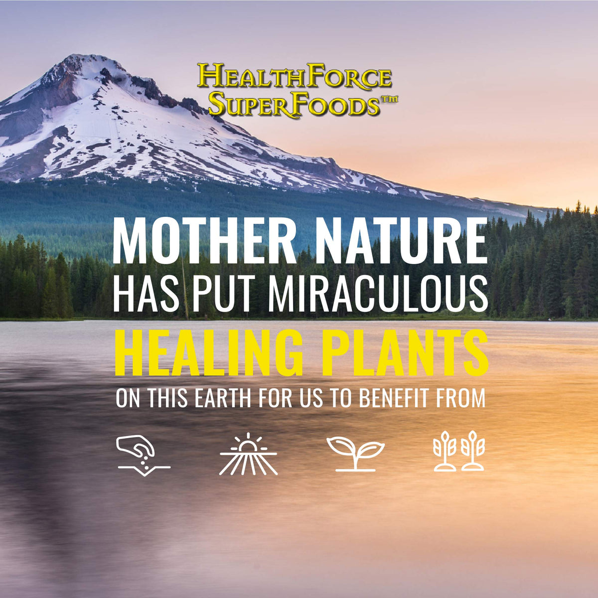 HEALTHFORCE SUPERFOODS Vitamin C Immune Support - 120 Vegan Capsules - image 4