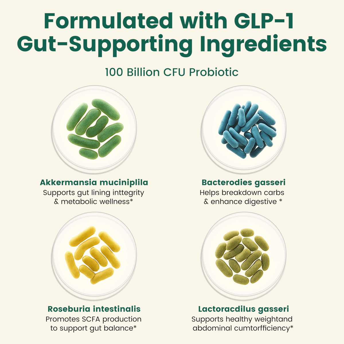 Vitarevive GLP-1 Supplement with Akkermansia Probiotic - 90 Capsules - image 3