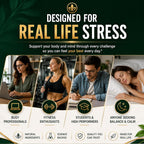 DLNIA Super Calm Cortisol Supplement with Magnesium Glycinate - 1 Count - image 7