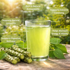 BASIC AYURVEDA Giloy Juice Herbal Tonic - 480ml - image 4