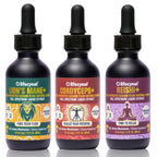 Life Cykel Professional Athletes Pack Mushroom Tincture - 6 Fl Oz