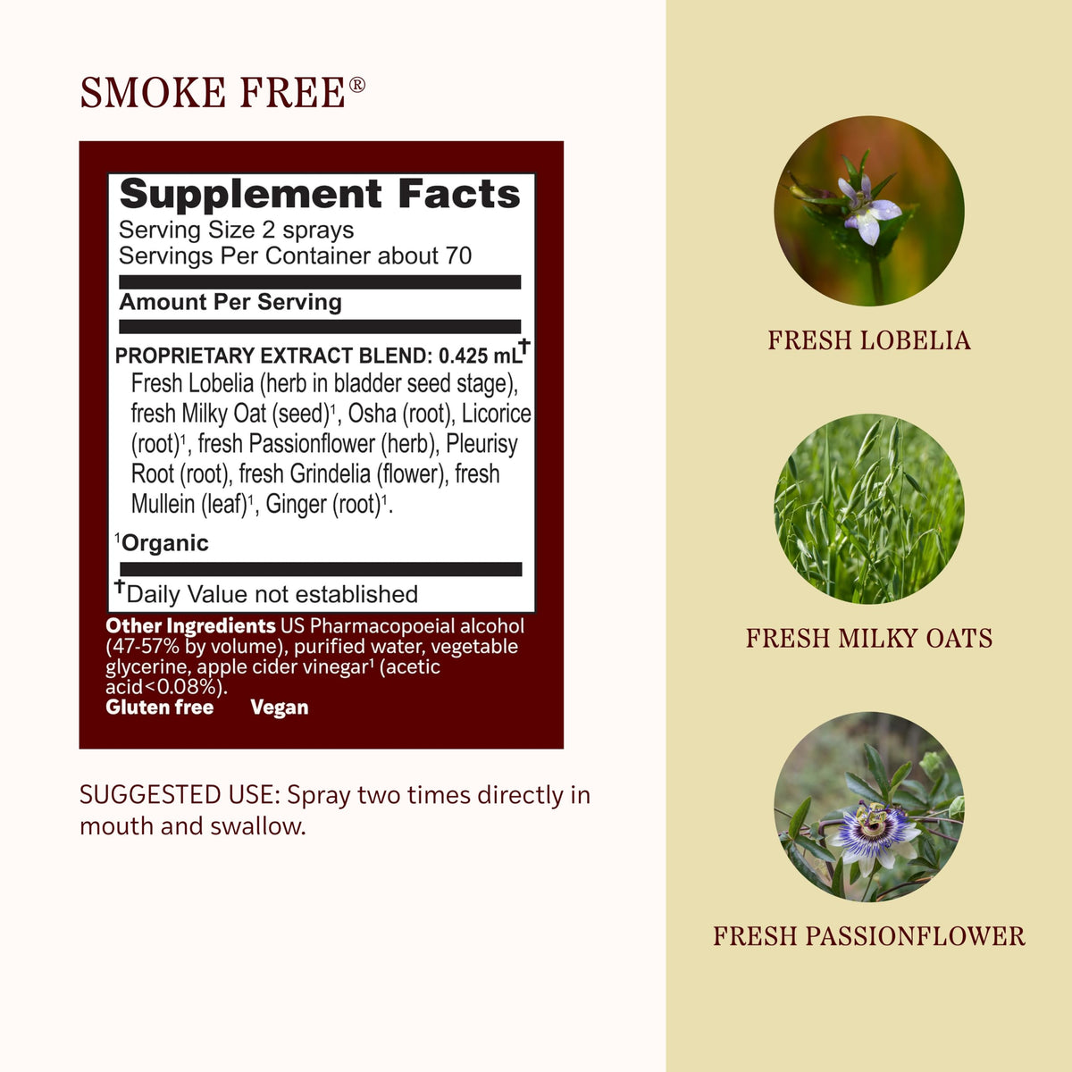 Herbs Etc. Smoke Free Herbal Spray - 1 fl oz - image 4