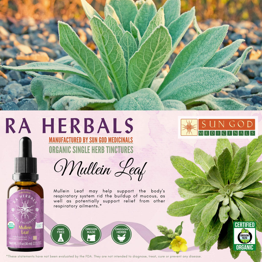 Sun God Medicinals Ra Herbals Organic Mullein Leaf Liquid Extract - 1 fl oz - image 3