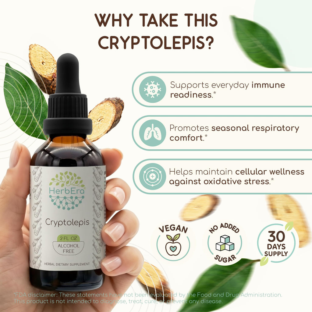 HerbEra Cryptolepis Alcohol-Free Liquid Extract Tincture - 2 fl oz - image 2