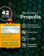 Herb Pharm Propolis Liquid Extract Immune Support - 1 oz - image 2
