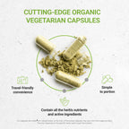 Secrets of the Tribe Coriander Seed USDA Organic - 60 Vegetarian Capsules - image 2