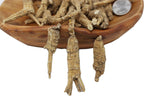 DABC OAK LAND American Ginseng Root - 8 oz - image 2