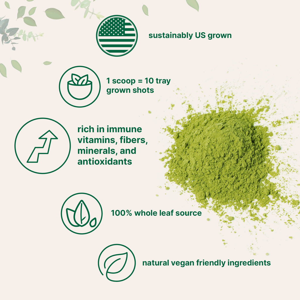 Micro Ingredients Organic Wheat Grass Powder - 16 Ounce - image 3