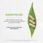 Secrets of the Tribe Fennel Seed Digestive Wellness - 60 Capsules - image 2