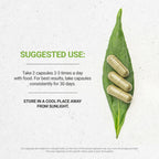 Secrets of the Tribe Cycle Regulator 60/120 Capsules