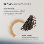 InfiniWell Ashwagandha Supplements with Shoden Root - 60 Capsules - image 3