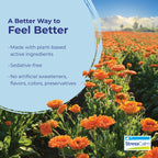 Boiron StressCalm Tablets for Stress Relief - 120 Tablets - image 4