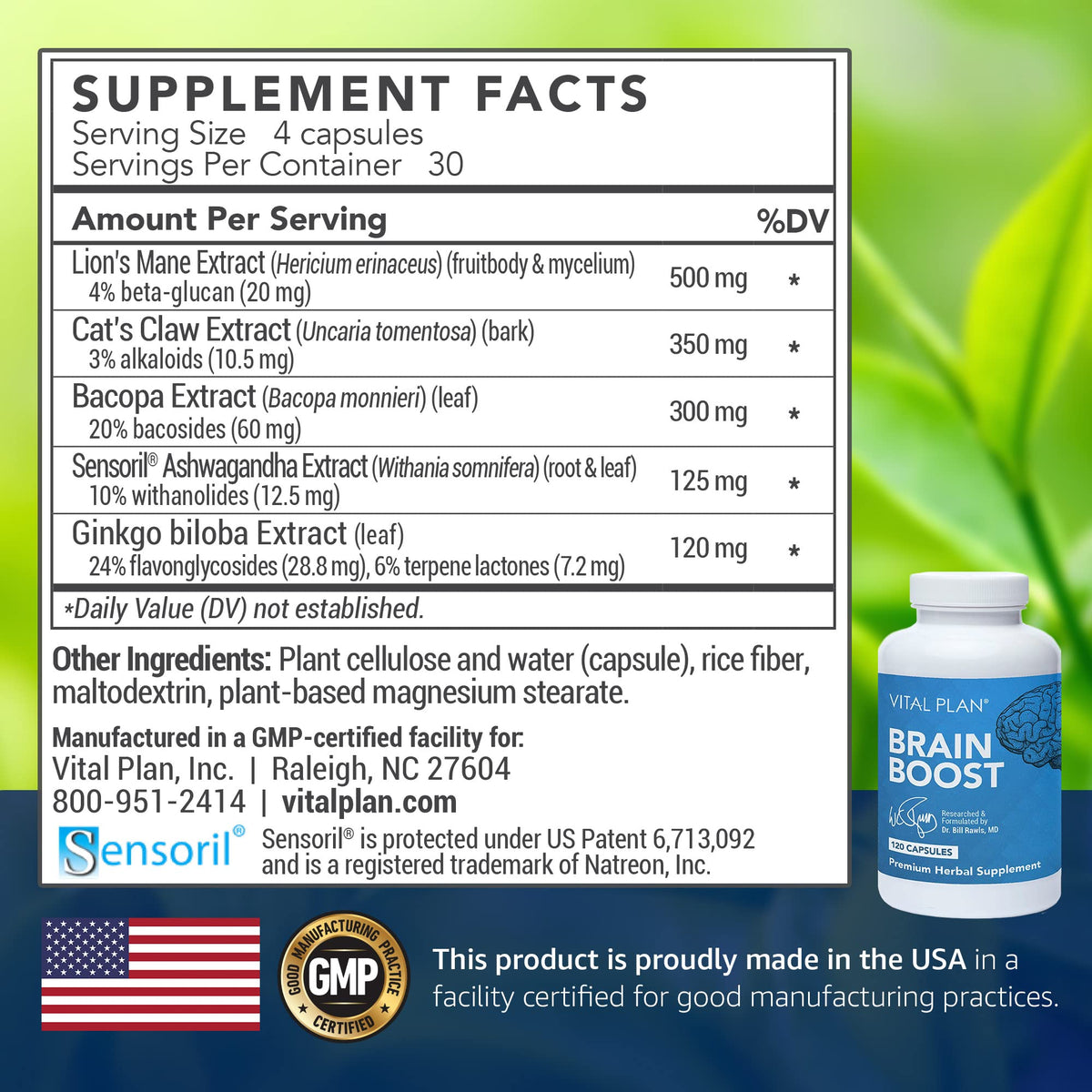 Vital Plan Brain Boost Supplement with Lion's Mane & Ashwagandha - 120 Capsules - image 2