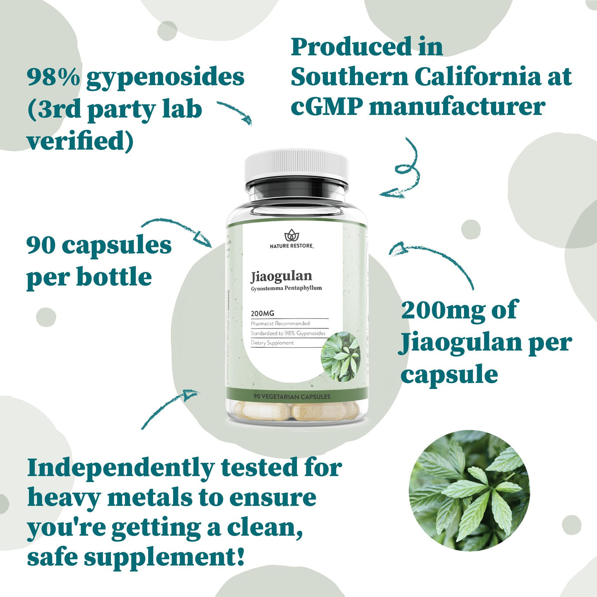 Nature Restore Jiaogulan Extract 98% Gypenosides - 90 Capsules - image 3