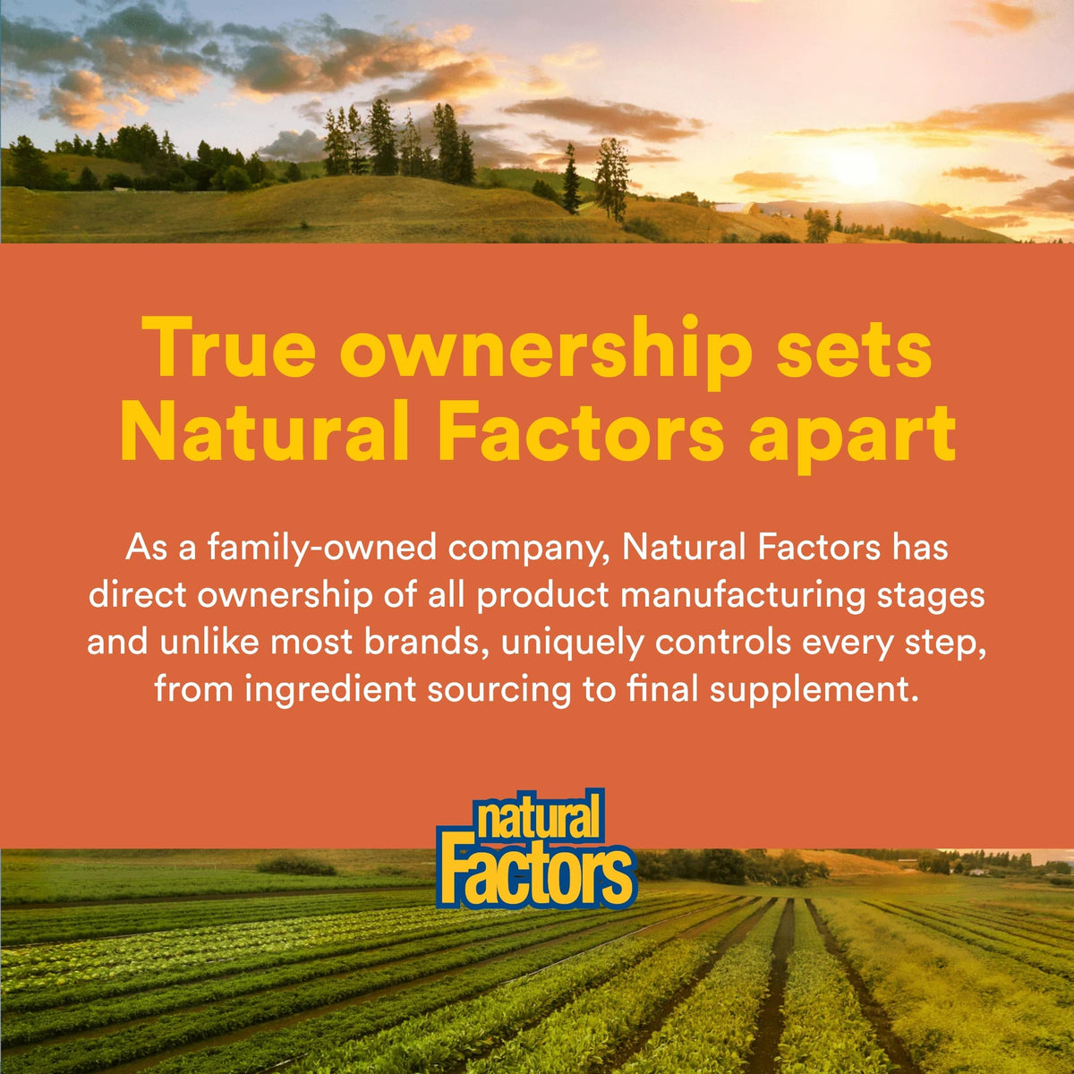 Natural Factors MSM Joint Formula Supports Mobility - 180 Capsules - image 7