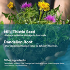 Laicuherb Milk Thistle Liver Detox Tea for Digestion and Immunity - image 7