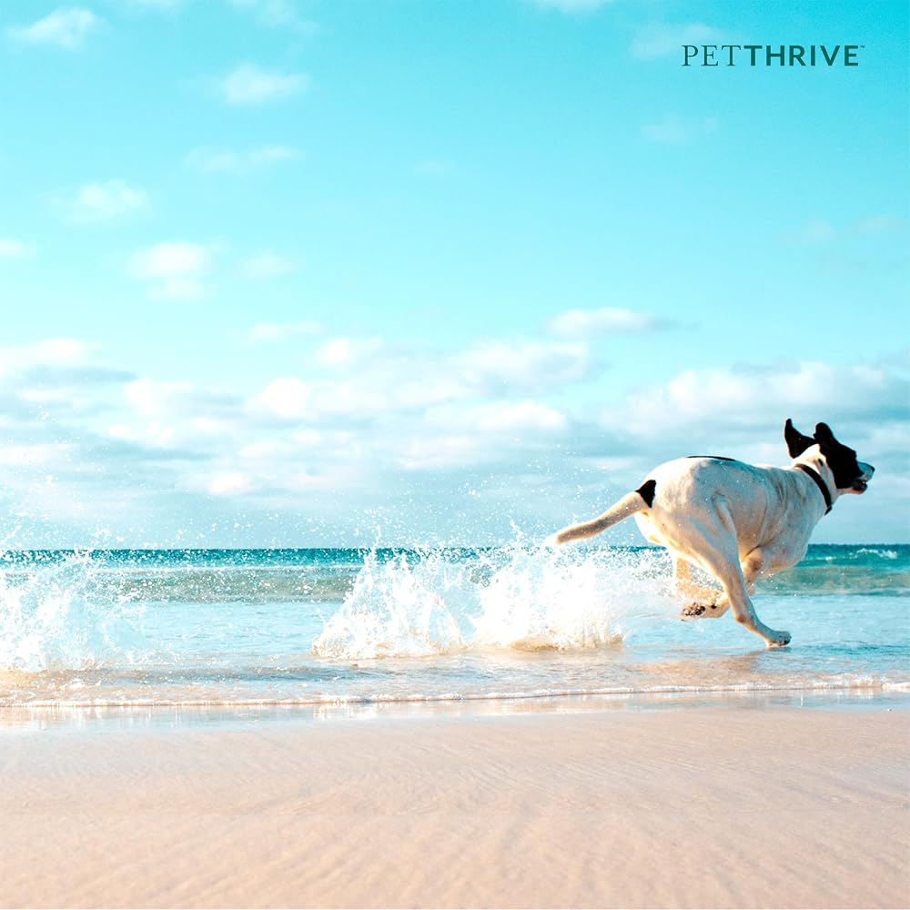 Petthrive Resveratrol Chews Dog Supplement - image 7