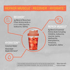 Sunwarrior Amino Acids Amino Energy Powder