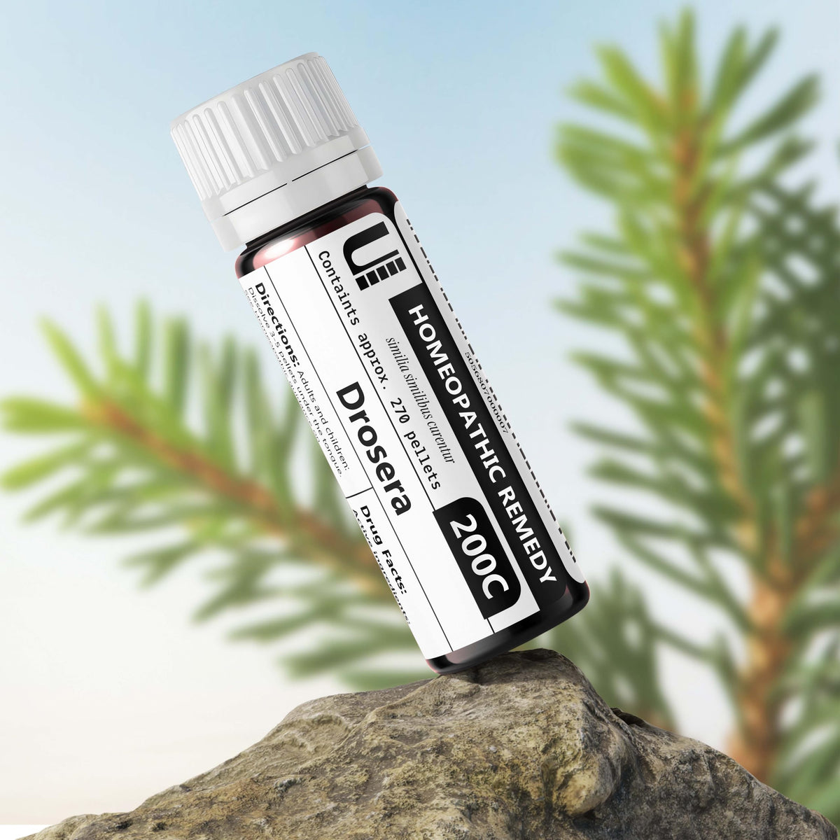 Drosera Rotundifolia 200C Homeopathic Remedy, Urenus - image 2