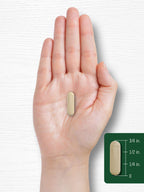 Carlyle Goji Berry - 120 Capsules - image 7