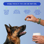 Coco and Luna Liver Supplement for Dogs with Milk Thistle - 90 Soft Chews - image 3