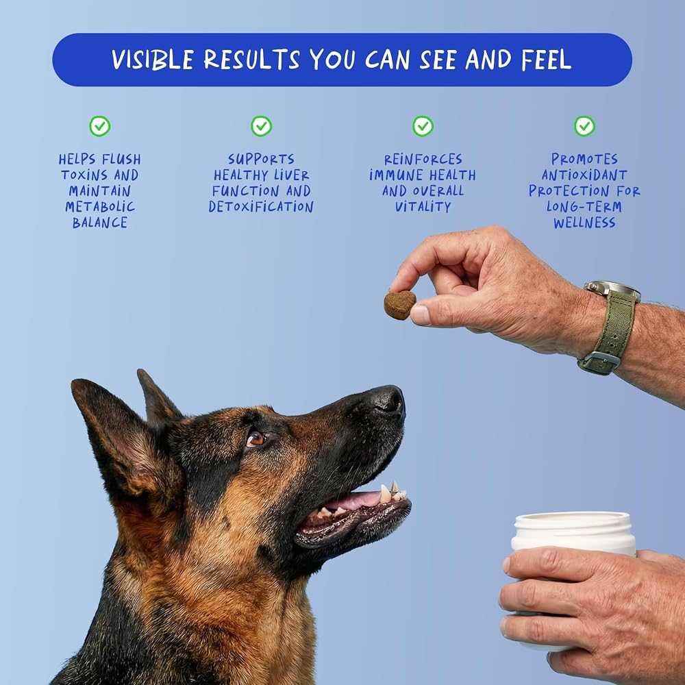 Coco and Luna Liver Supplement for Dogs with Milk Thistle - 90 Soft Chews - image 3