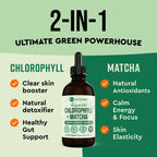 360 Nutrition Matcha Chlorophyll Liquid Drops with L-Theanine - 60 Servings - image 2