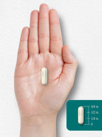 Carlyle L-Theanine 200mg Supplement - 120 Capsules - image 7