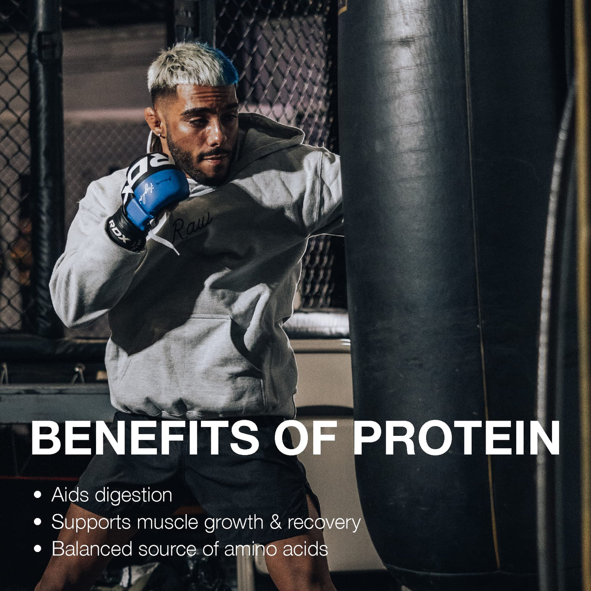 RAW Whey Protein Isolate Powder