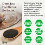 Sayan Chaga Mushroom Extract Powder - 4 oz - image 7