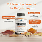 American Standard Supplements Turmeric Extract Curcumin 95% - 60 Vegan Capsules - image 3