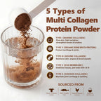 Zammex Multi Collagen Peptides Protein Powder Chocolate - 1 lb - image 3
