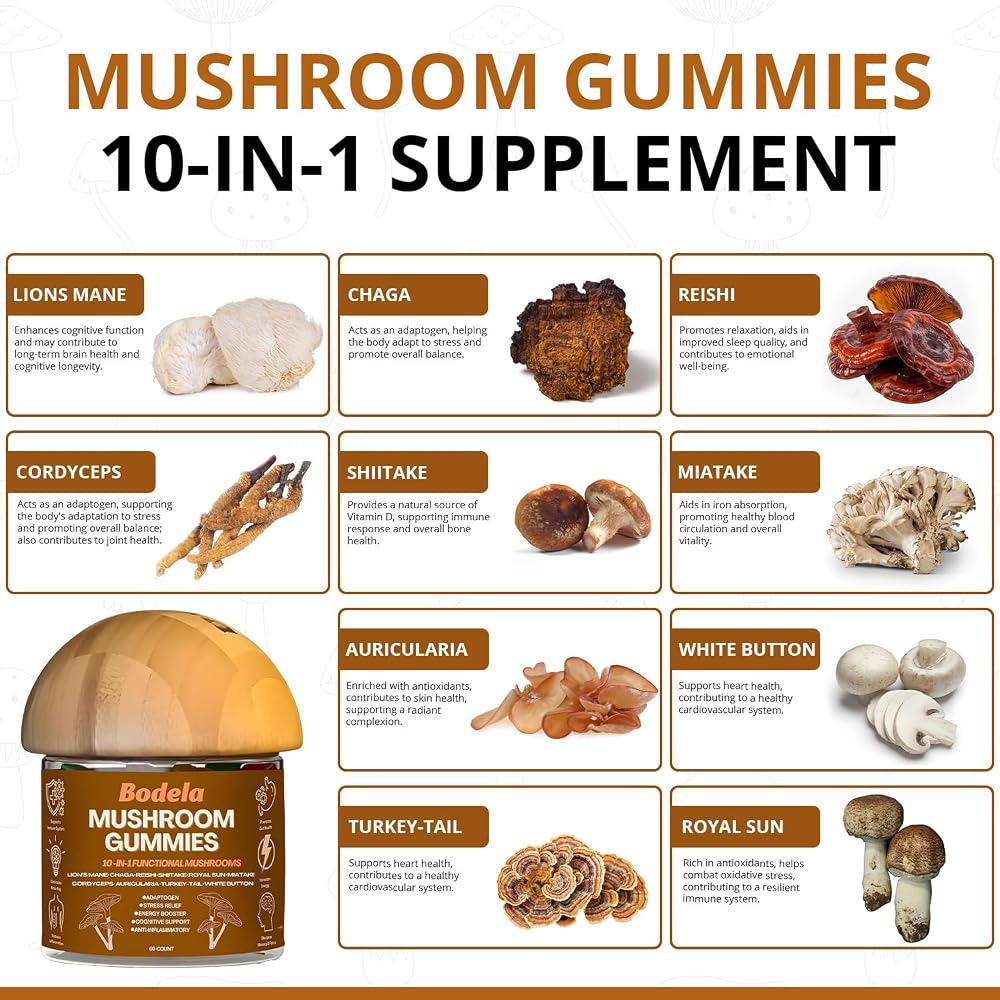 Bodela Functional Mushroom Gummies 10-in-1 - 60 Count - image 3