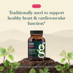 Gaia Herbs Hawthorn Supreme Heart Health Support - 120 Capsules - image 3