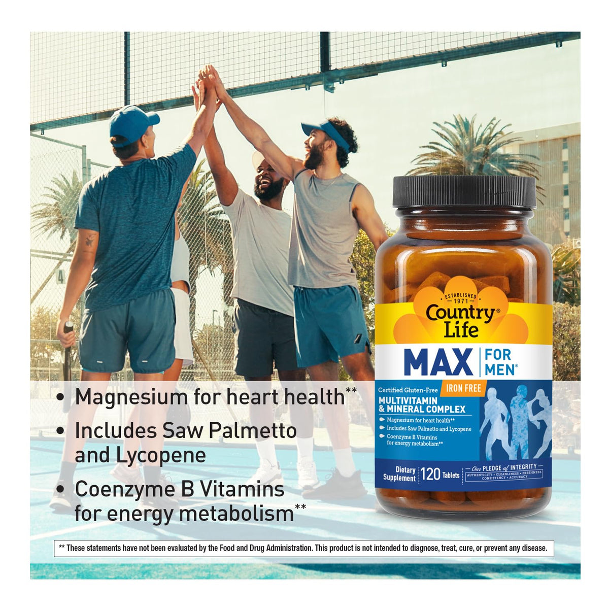 Country Life Max for Men Iron-Free Multivitamin - 120 Tablets - image 4