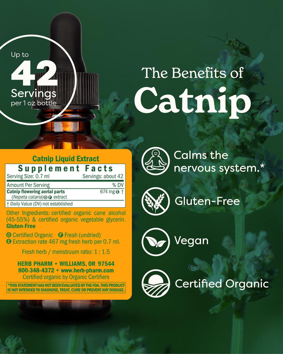 Herb Pharm Catnip Liquid Herbal Extract Nervous System Support - 1 oz - image 2